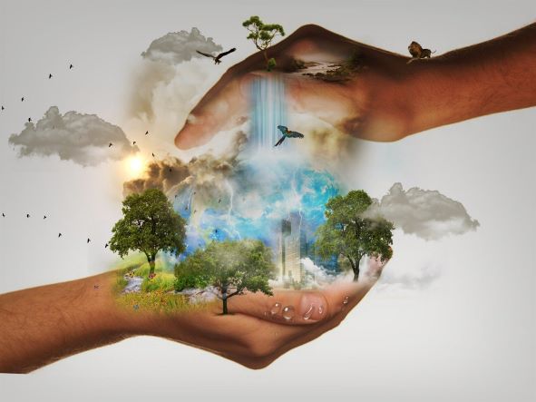 2 brown hands cupping top & bottom with clipart in the middle space of x3 trees, clouds, & blue sky with a waterfall above the sky